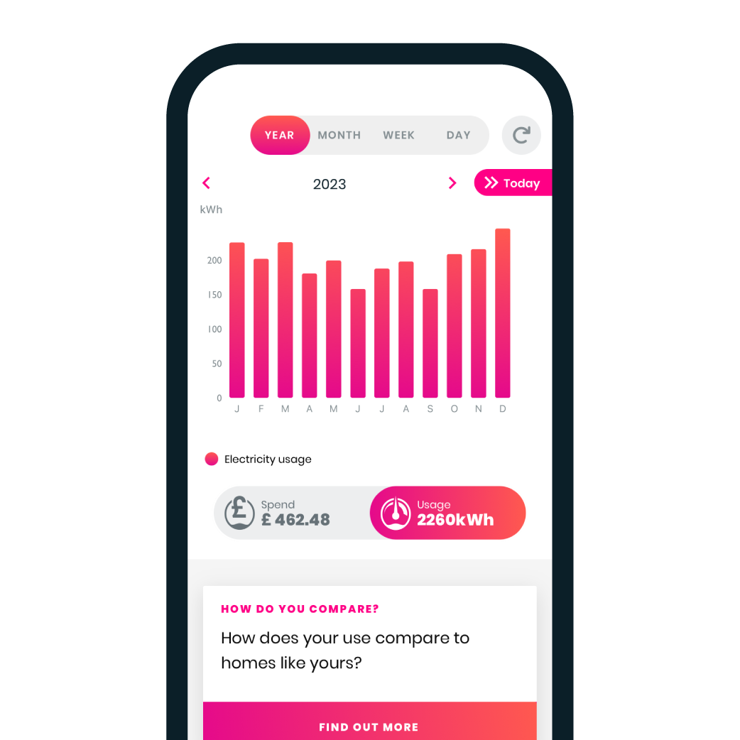 Loop yearly electricity tracking pink bar graph