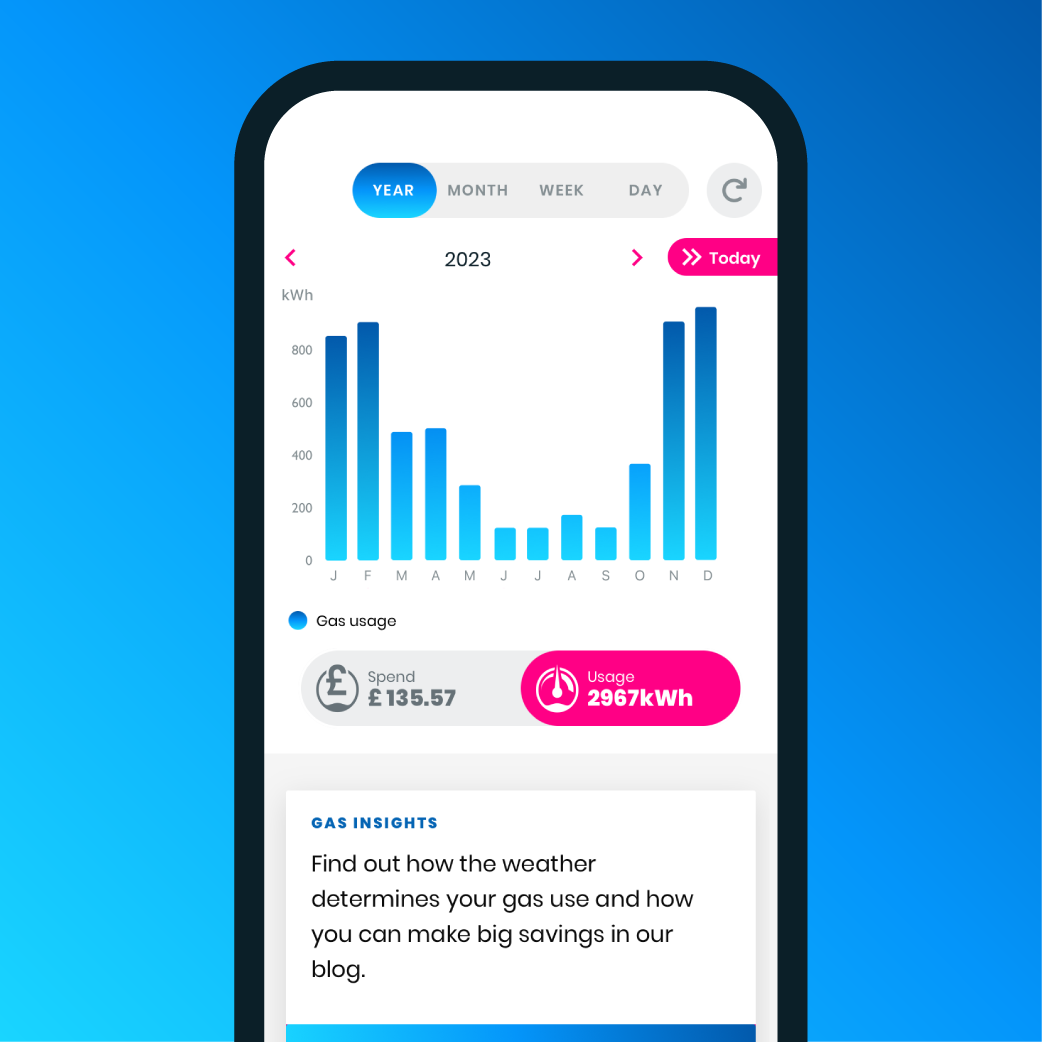 Loop app screen of yearly gas usage and spend